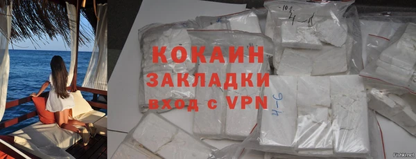 ALPHA PVP Гусев