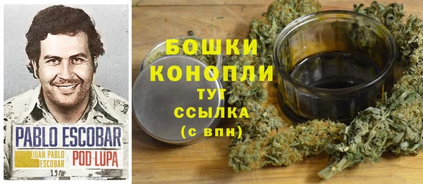 spice Гусь-Хрустальный