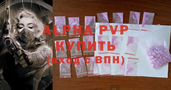 дурь Гусиноозёрск