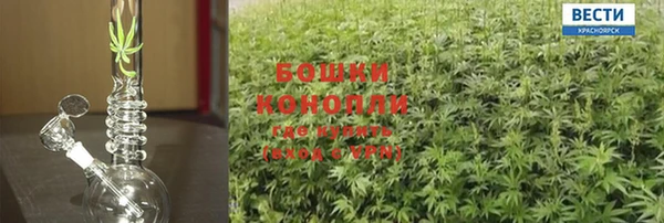 дурь Гусиноозёрск